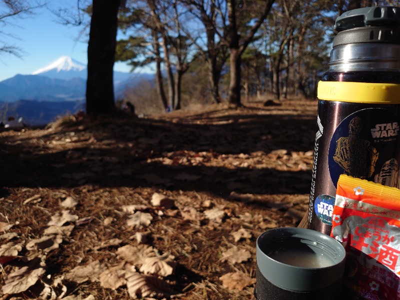 温泉登山トラベラーさんの山梨泊まれる温泉 より道の湯のサ活写真