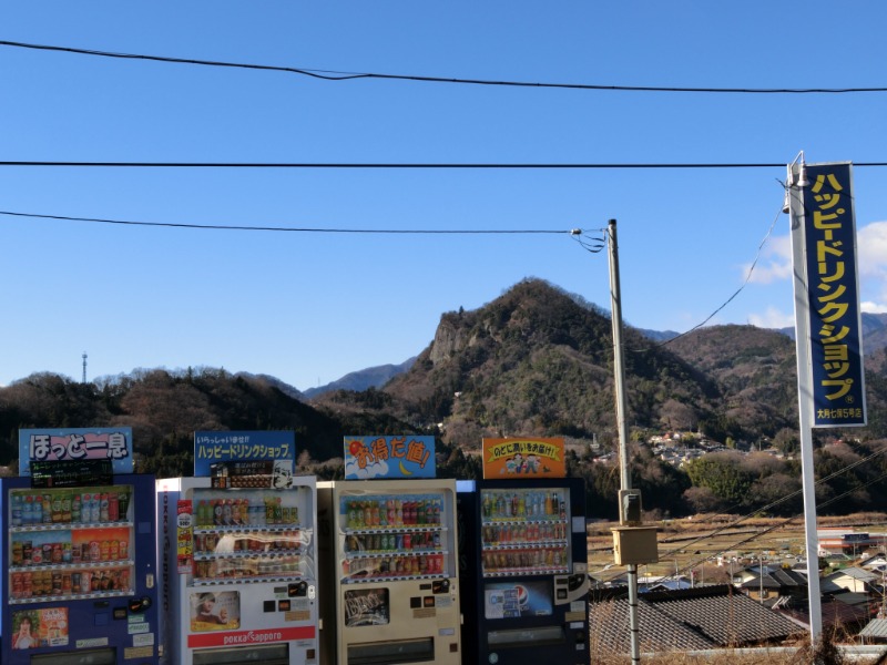 温泉登山トラベラーさんの山梨泊まれる温泉 より道の湯のサ活写真