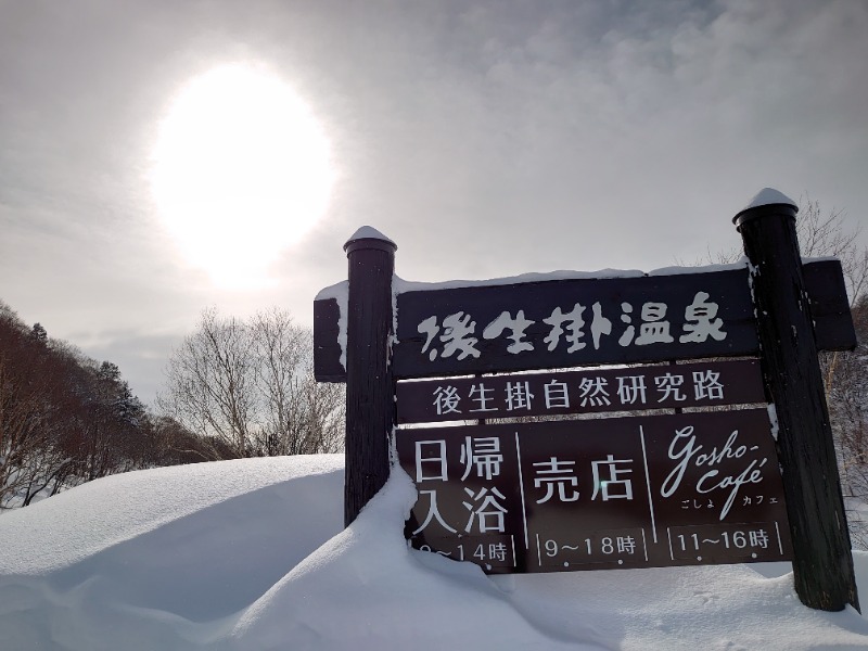 温泉登山トラベラーさんの後生掛温泉のサ活写真