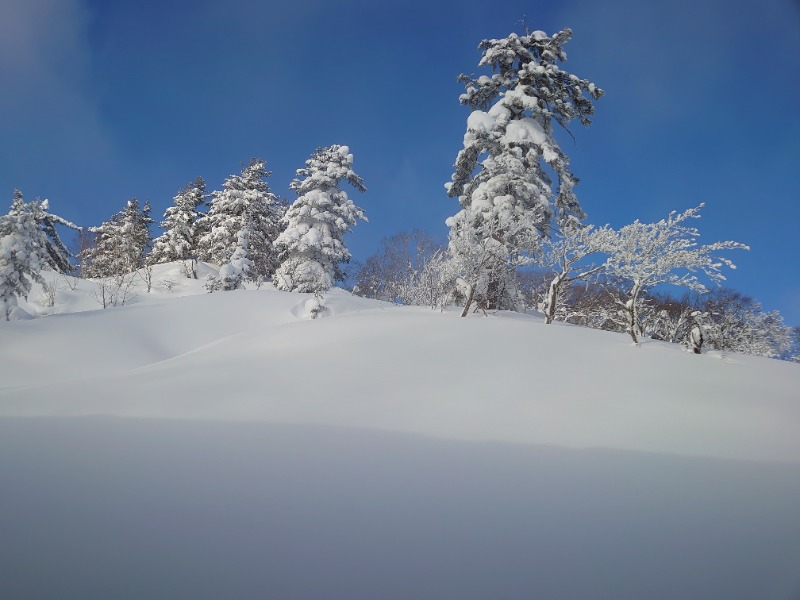 温泉登山トラベラーさんの後生掛温泉のサ活写真