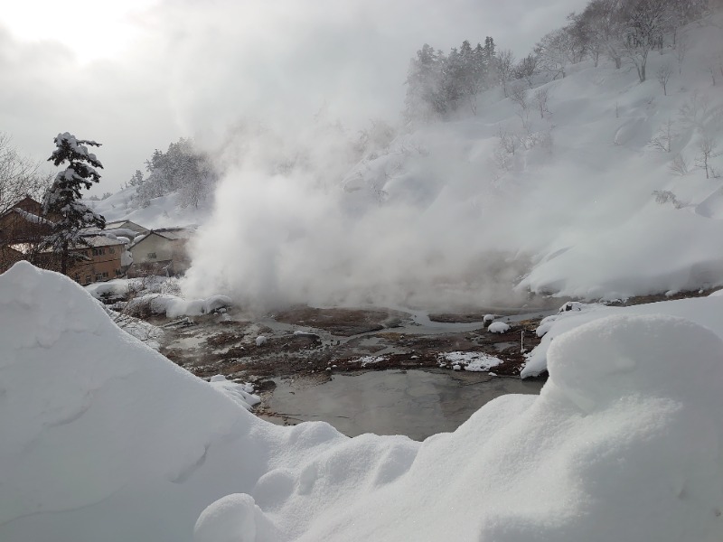 温泉登山トラベラーさんの後生掛温泉のサ活写真