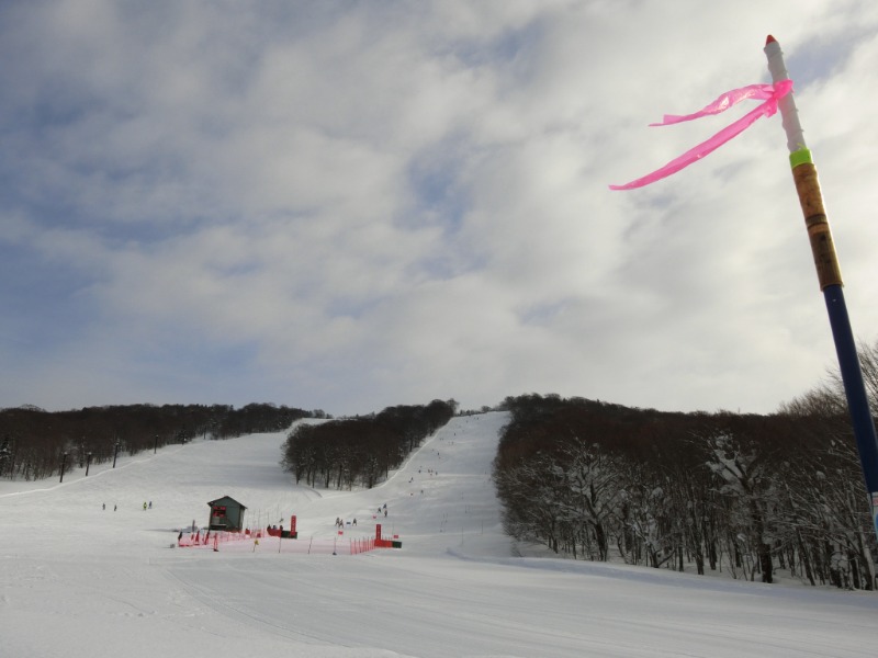 温泉登山トラベラーさんの後生掛温泉のサ活写真