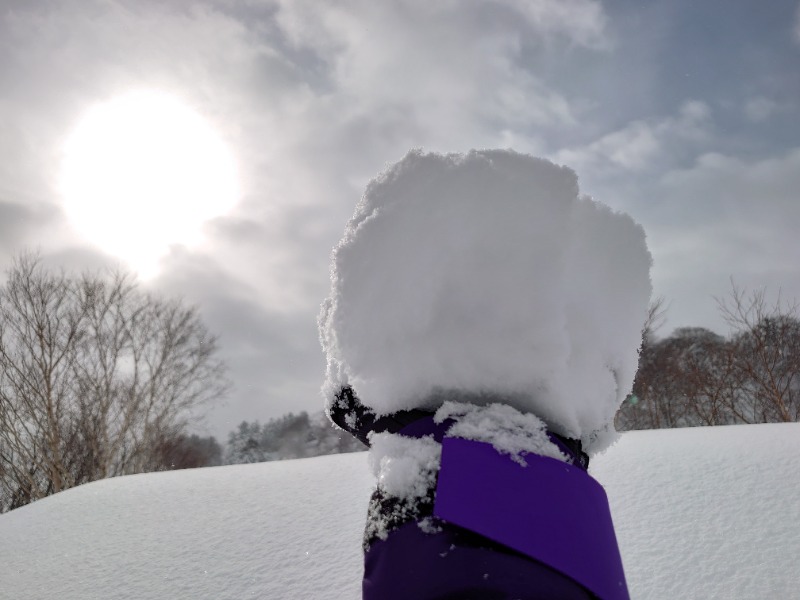 温泉登山トラベラーさんの後生掛温泉のサ活写真