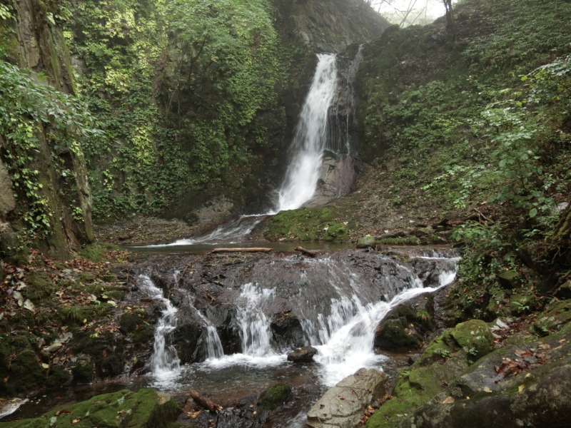 温泉登山トラベラーさんのTAOYA 日光霧降のサ活写真