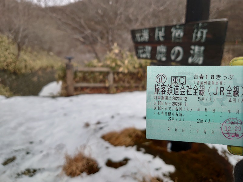 温泉登山トラベラーさんの源泉 那須山 令和の湯のサ活写真