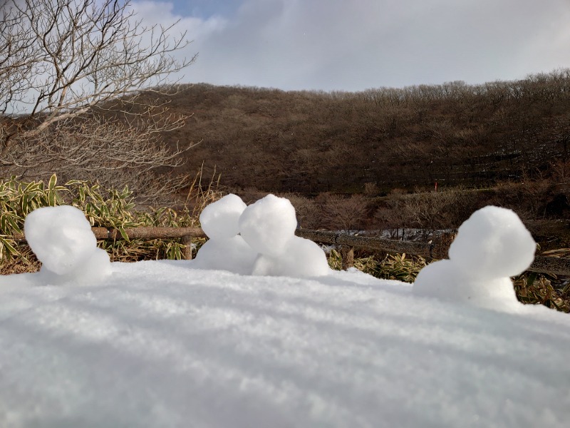 温泉登山トラベラーさんの源泉 那須山 令和の湯のサ活写真