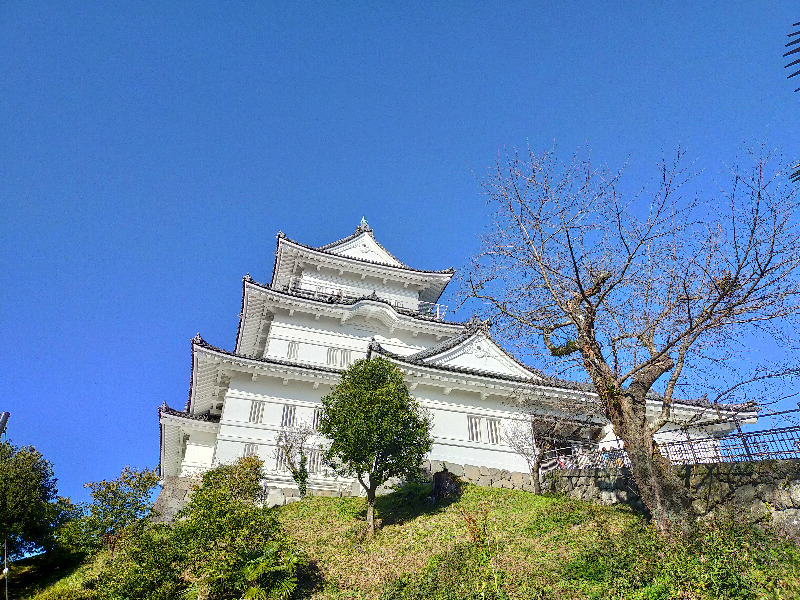 Neo*さんの天成園 小田原駅 別館のサ活写真