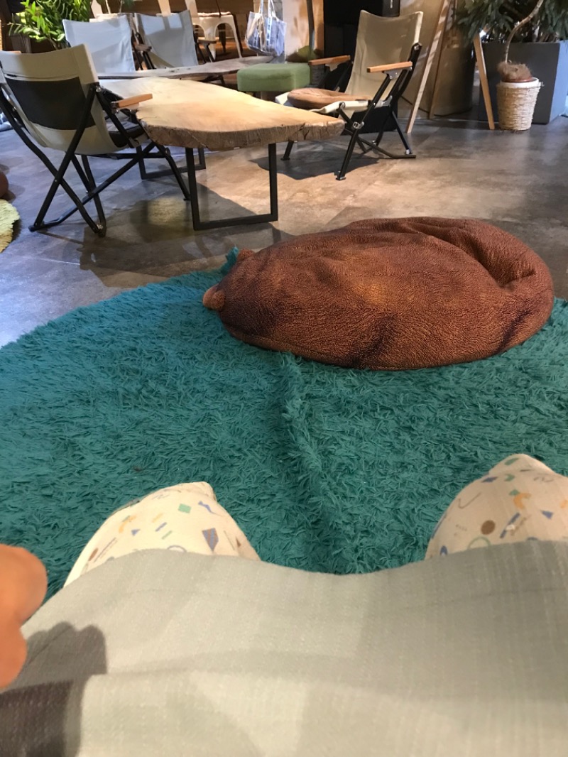 ととのったっき〜さんのおふろcafé ハレニワの湯のサ活写真