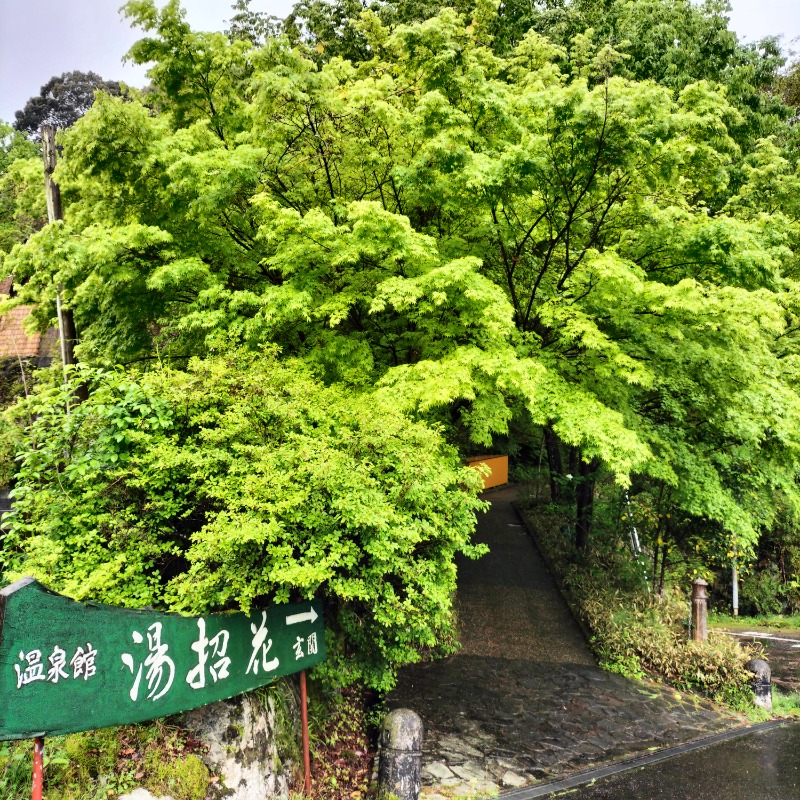 みすずさんの湯泉郷 温泉館 湯招花のサ活写真