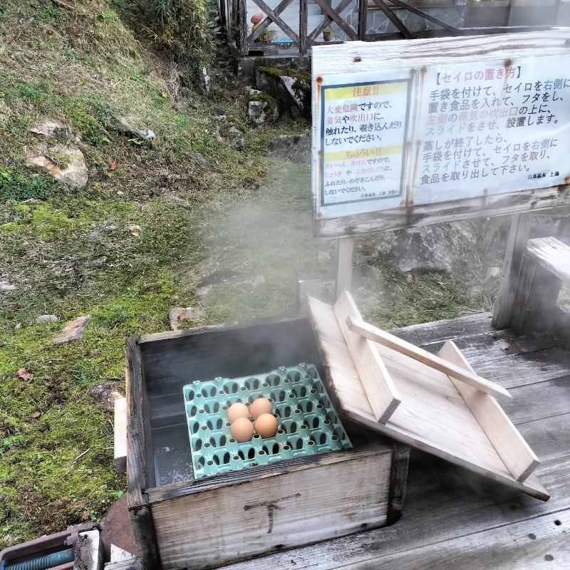 みすずさんの白鳥温泉上湯のサ活写真