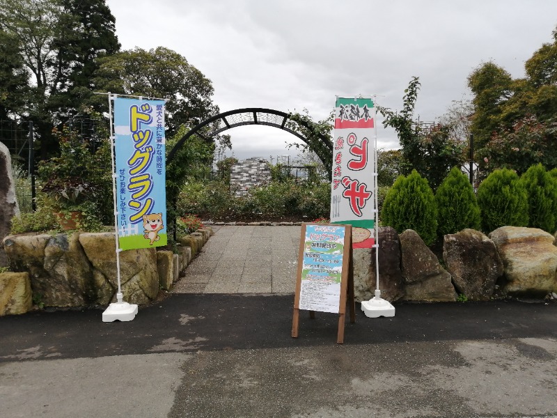 孤高のちゃん丁目㌧トゥ広場で乾杯をさんのうたたねカフェ さくらの湯のサ活写真