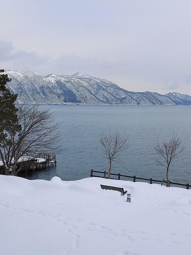 トシ湯さんの湖畔の宿支笏湖 丸駒温泉旅館のサ活写真