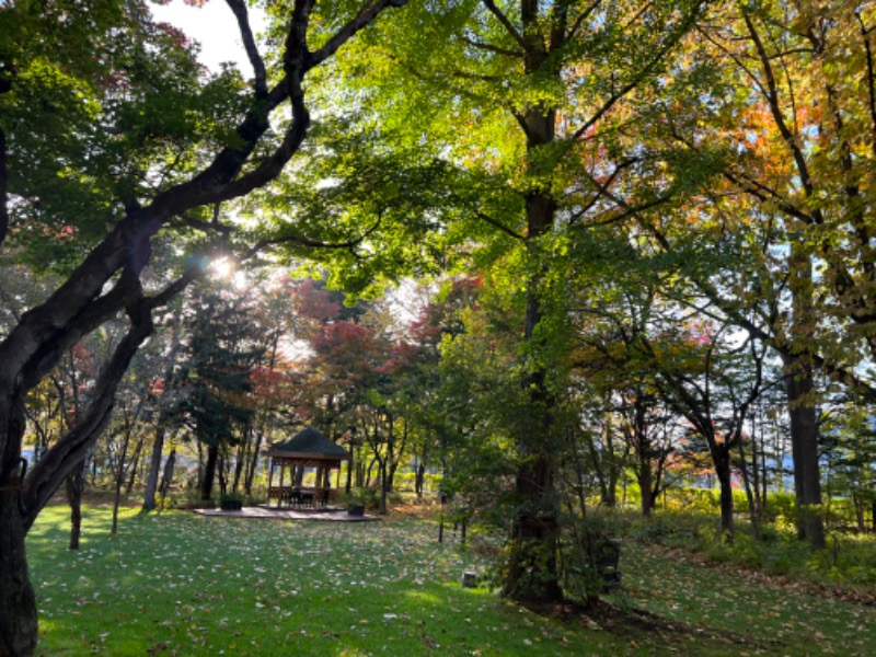 南無三さんの森のスパリゾート 北海道ホテルのサ活写真