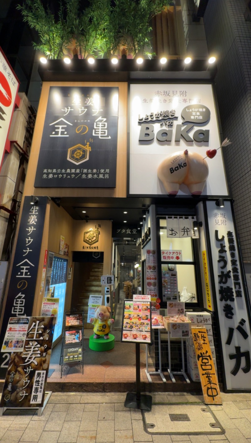 赤い大仏くんさんの生姜サウナ 金の亀のサ活写真