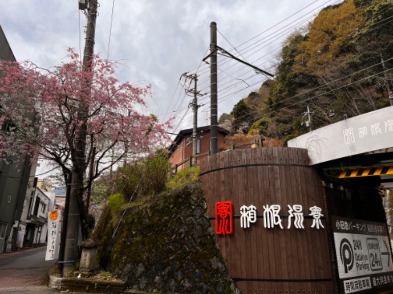 ちくわさんの箱根湯寮のサ活写真