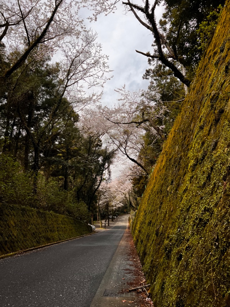 ちくわさんの箱根湯寮のサ活写真