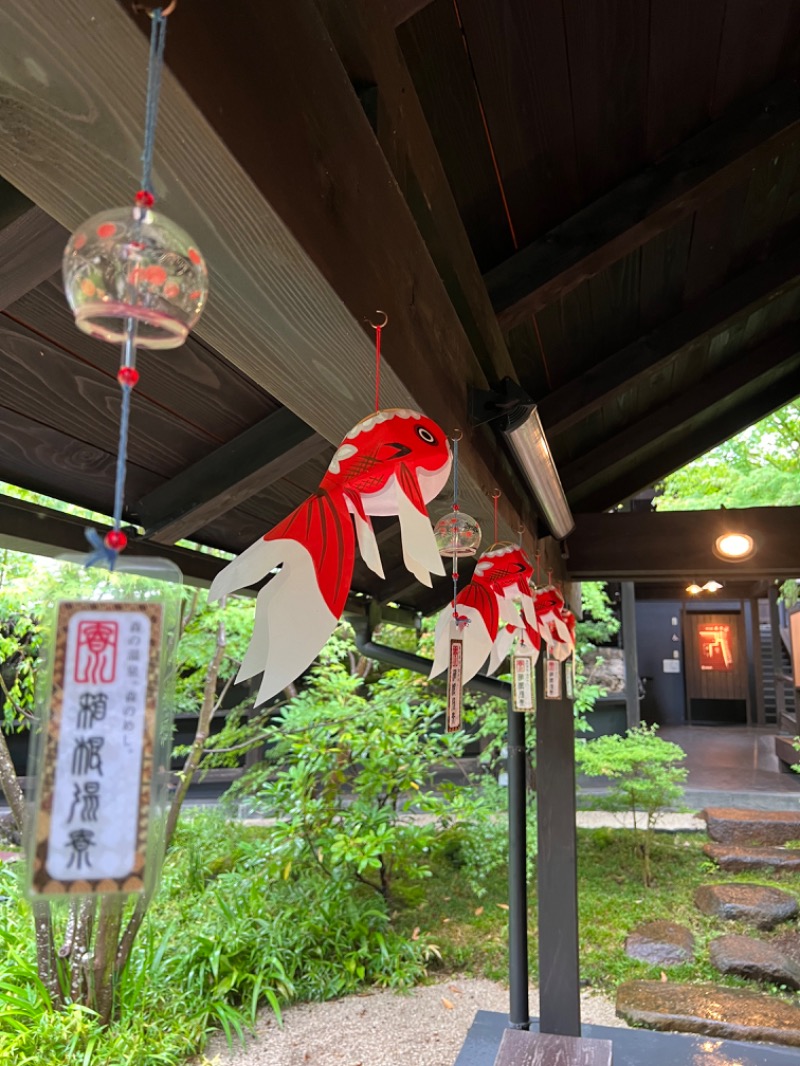 ちくわさんの箱根湯寮のサ活写真