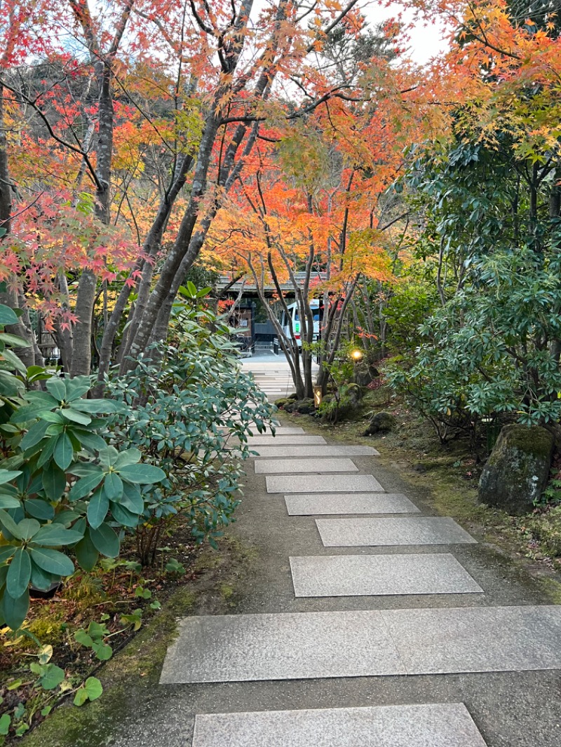 ちくわさんの箱根湯寮のサ活写真