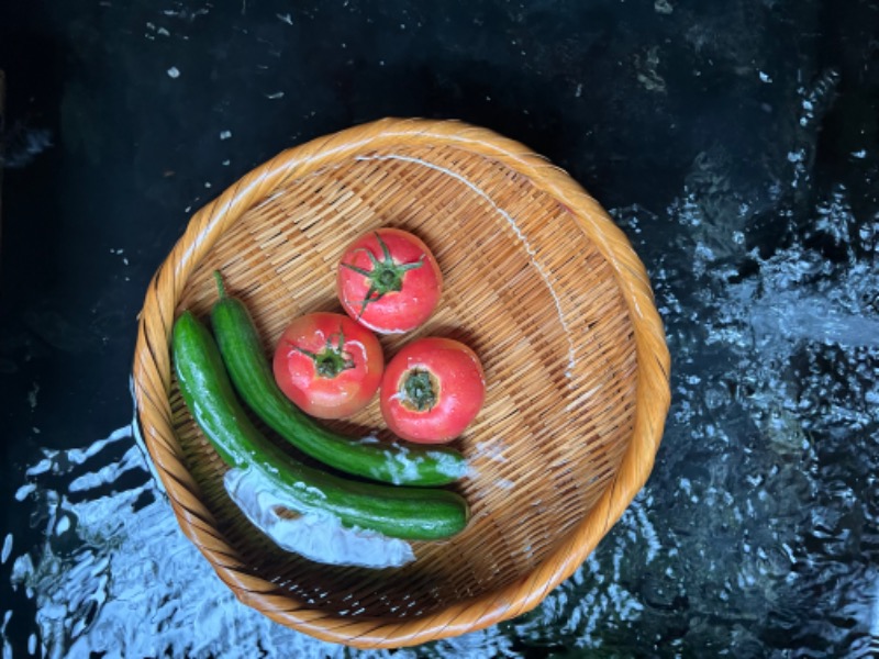 ちくわさんの天山湯治郷 ひがな湯治 天山のサ活写真