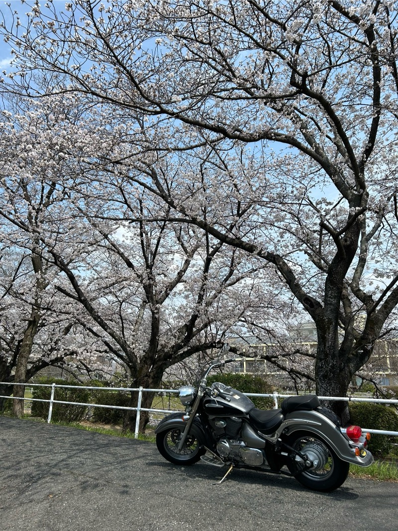 たかさんの佐賀の湯処 KOMOREBIのサ活写真