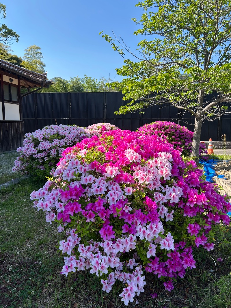 たかさんのひがしせふり温泉 山茶花の湯のサ活写真