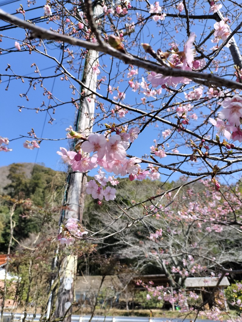 鬼灯812さんの紅花舎 koukashaのサ活写真