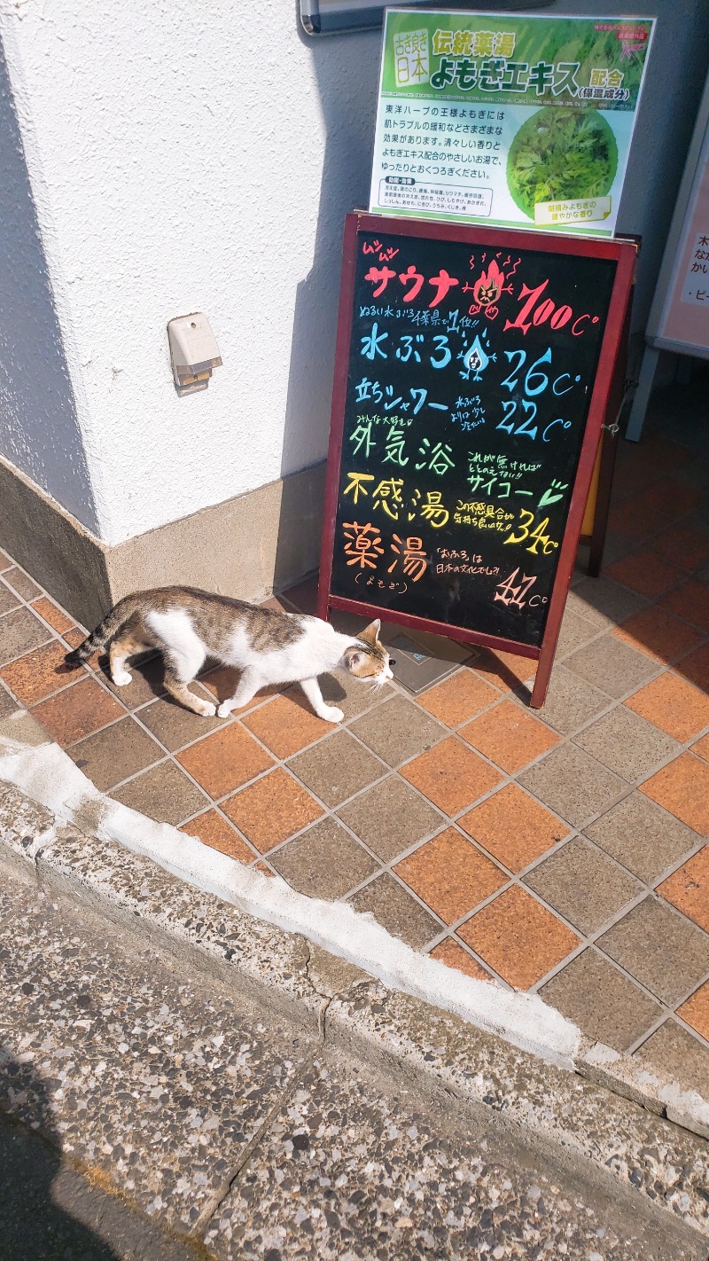 イオ(　^ω^)さんのカプセルホテルふらるのサ活写真