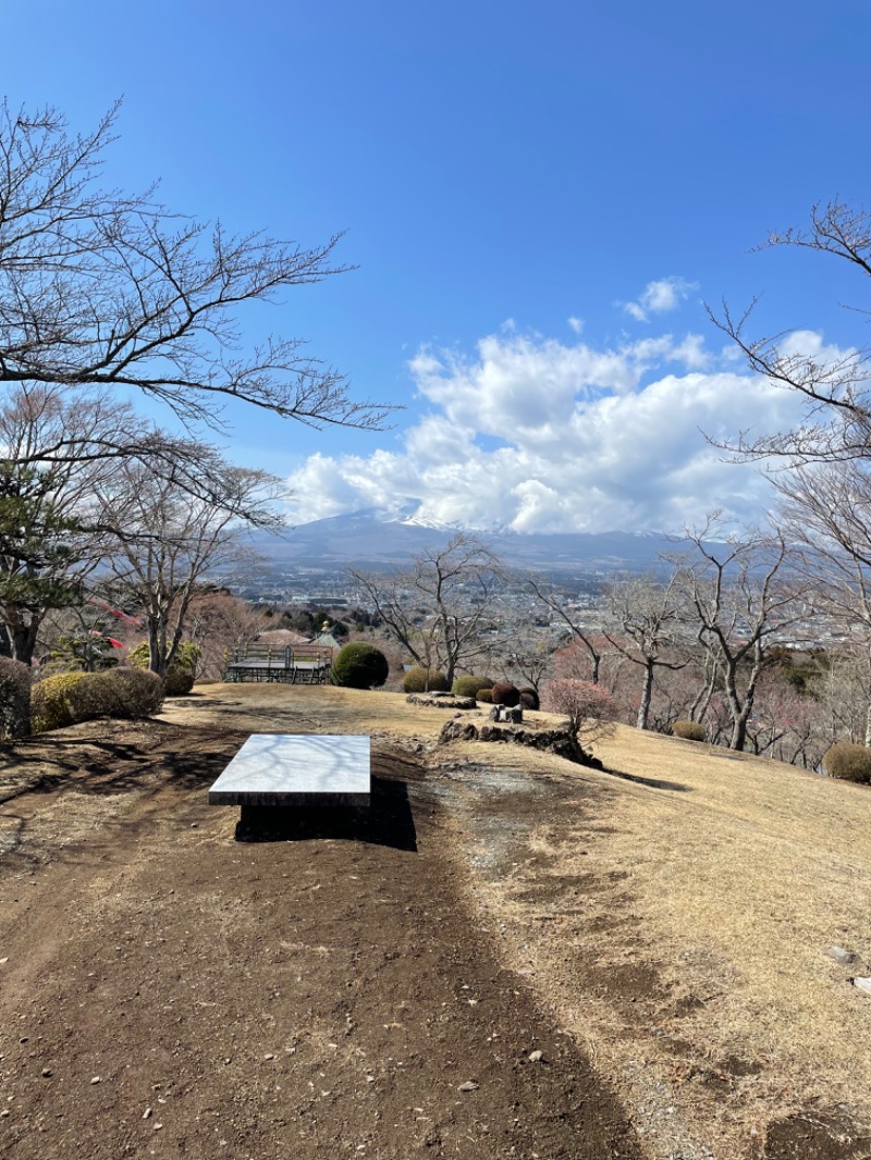 サウナ金融さんの天然温泉 富士桜の湯 ドーミーインEXPRESS富士山御殿場のサ活写真