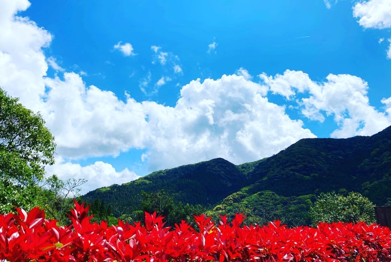 樹（いつき）さんの冠岳温泉のサ活写真