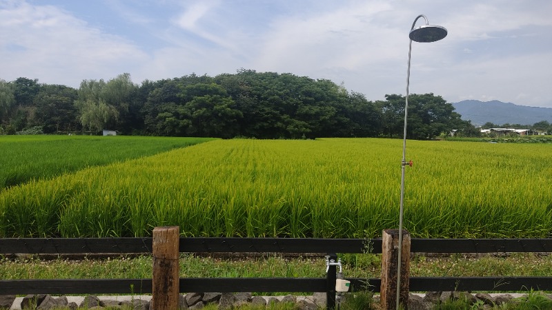 えぬたけさんの南道後温泉ていれぎの湯のサ活写真