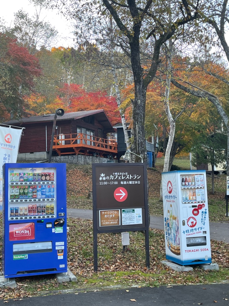 ヒビヨシさんの森のスパリゾート 北海道ホテルのサ活写真