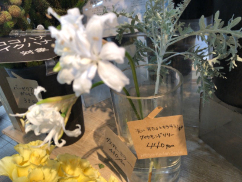 むくちゃんさんの春の湯のサ活写真