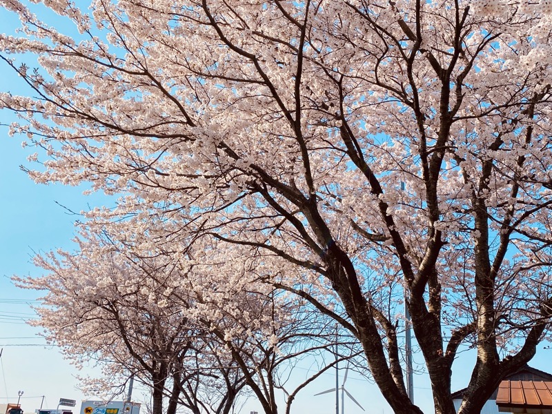 麓水さんのSHONAI HOTEL SUIDEN TERRASSE / スイデンテラスのサ活写真