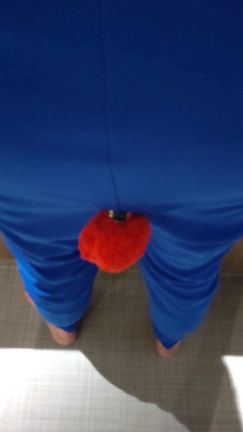 じゅんちさんの天然温泉 平和島のサ活写真