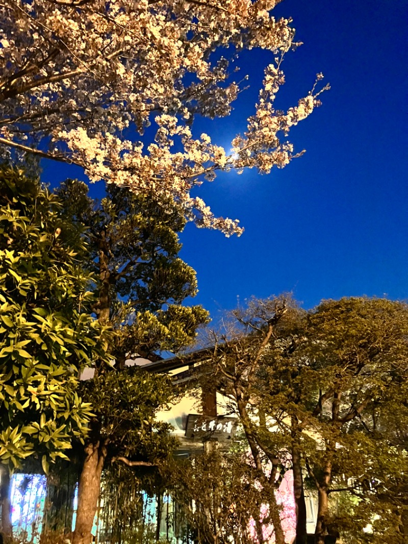 ハルさんの天然温泉 真名井の湯 大井店のサ活写真