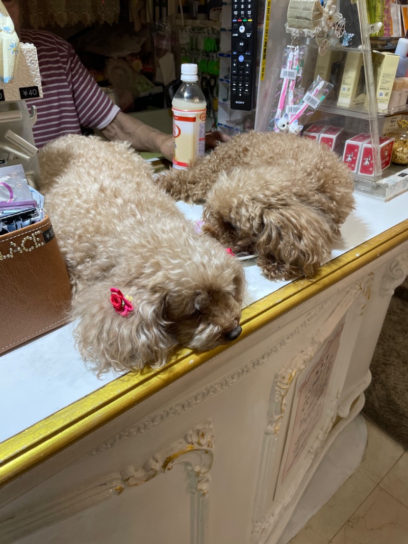 IOさんのクアパレスのサ活写真