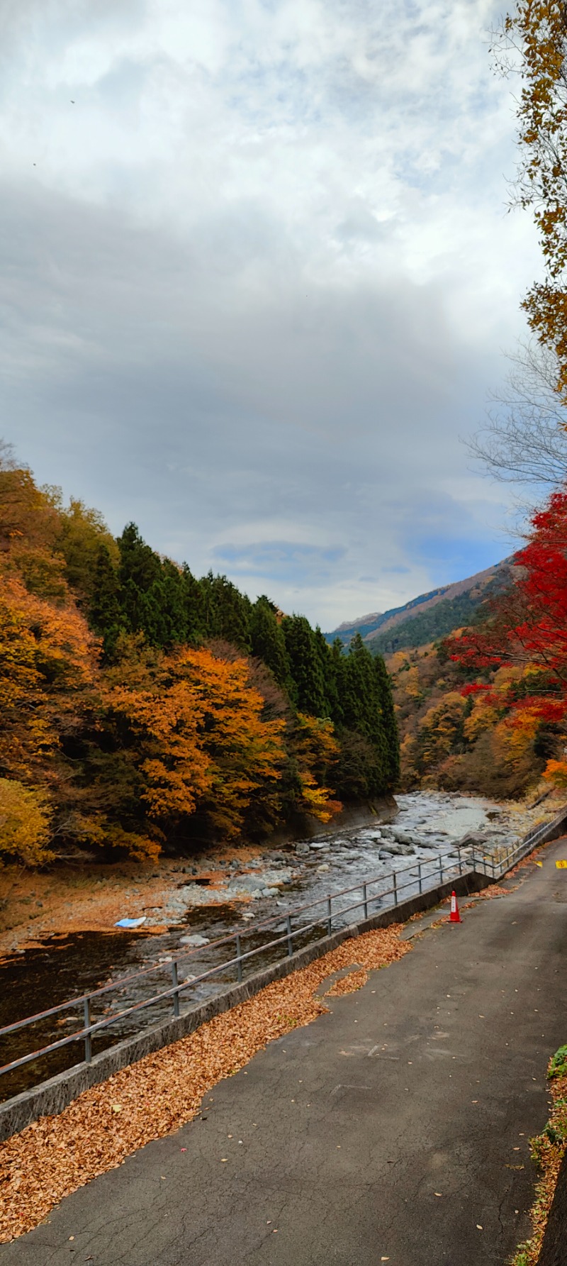 サウナは手取りの7%までさんの道志川温泉紅椿の湯のサ活写真