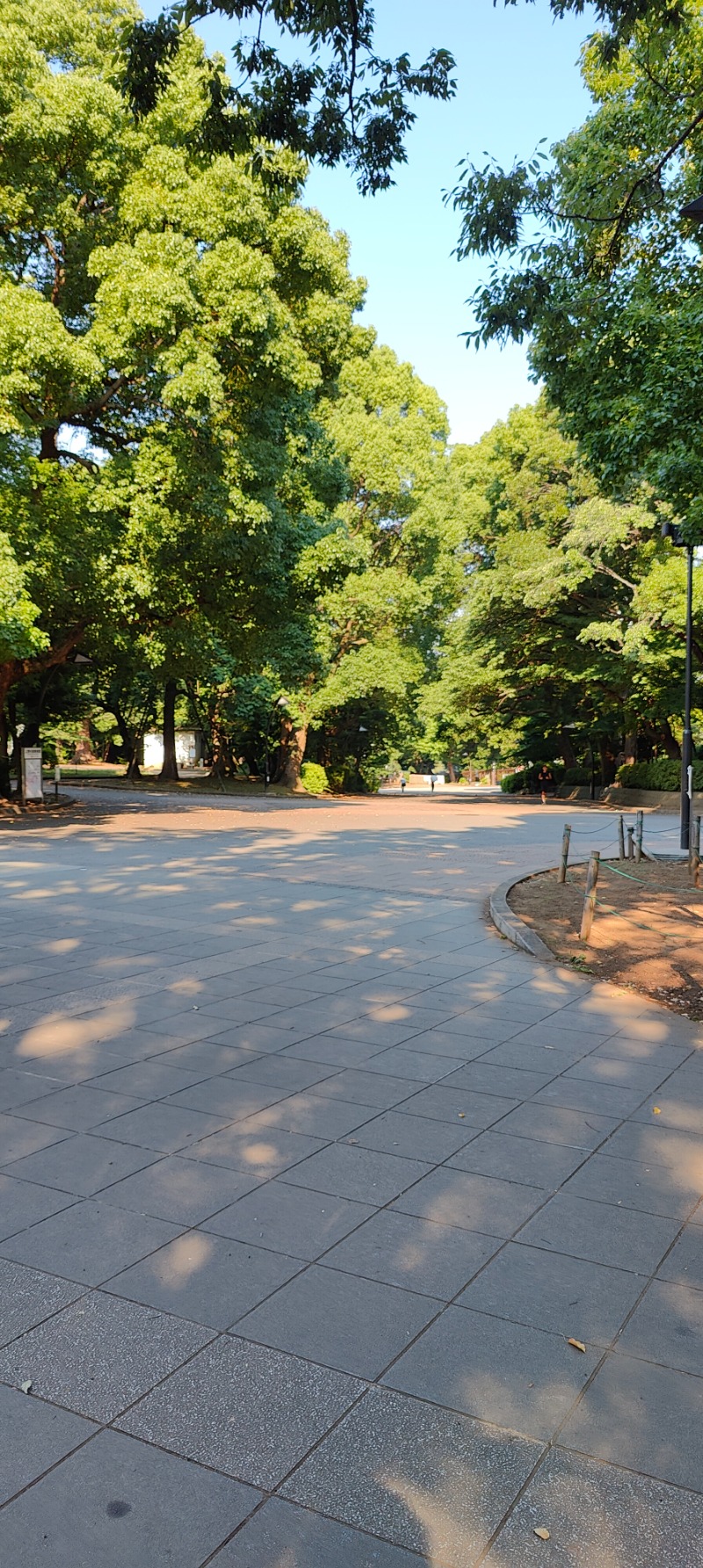 サウナは手取りの7%までさんのサウナ&カプセルホテル 北欧のサ活写真