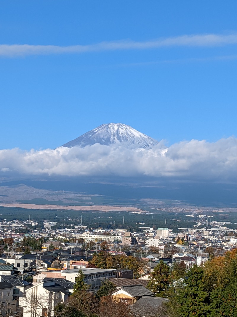 ごとうのおっさんさんの天然温泉 富士桜の湯 ドーミーインEXPRESS富士山御殿場のサ活写真