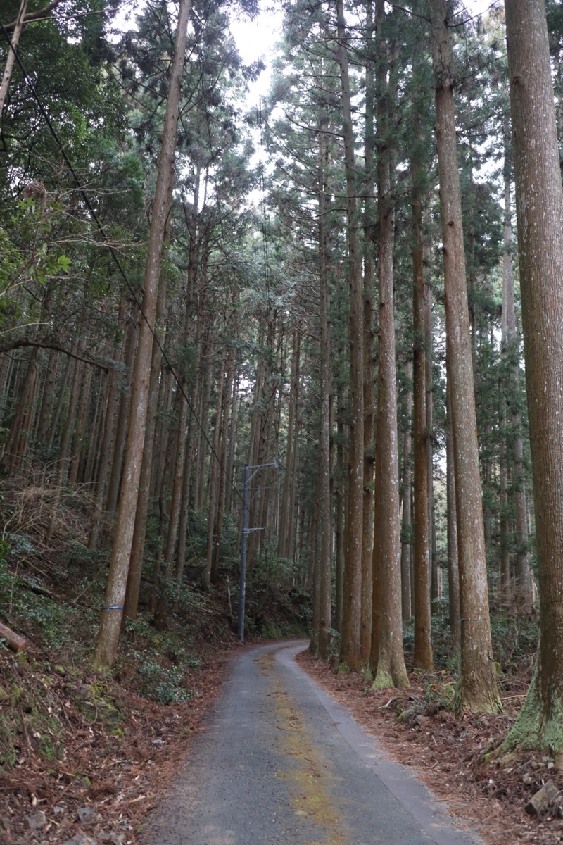 あやさんのNNF-Nukata Nature Fieldのサ活写真