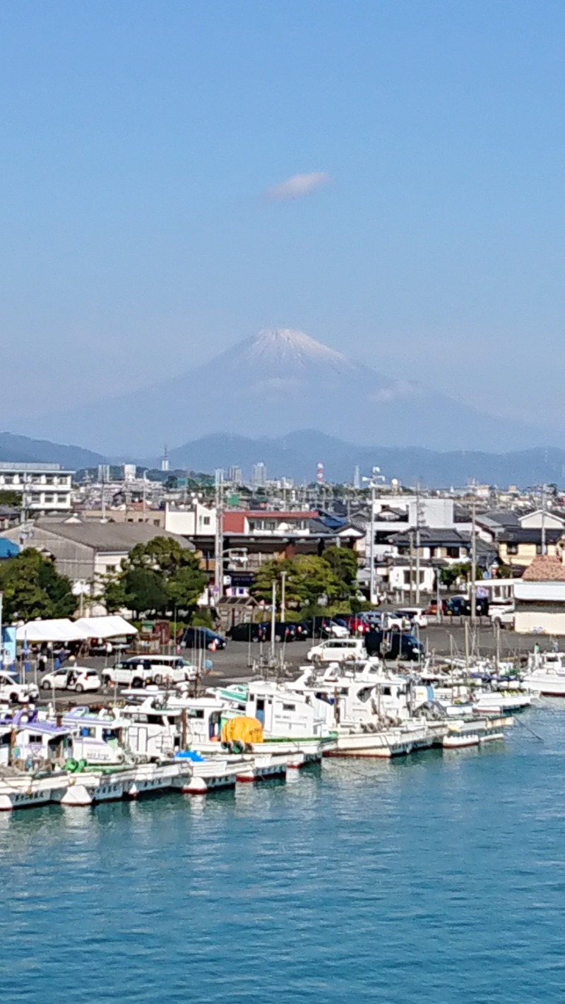 もっちーさんの用宗みなと温泉のサ活写真