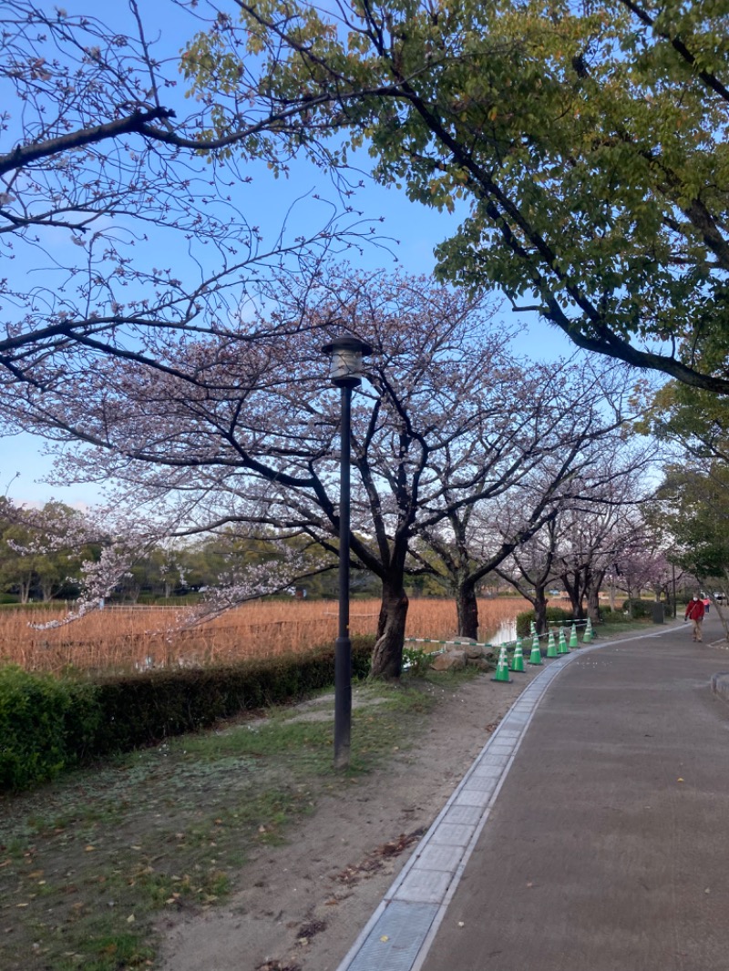 s"inさんの本庄の湯(アイスポーツ佐賀南店併設)のサ活写真