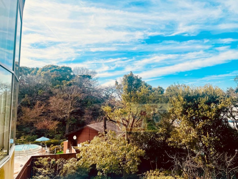 コロコロ父ちゃんさんの豊島園 庭の湯のサ活写真