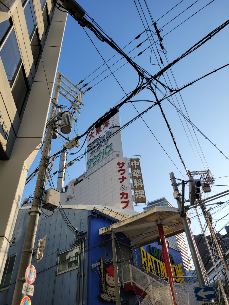 かけ小追加ねぎさんのサウナ&スパ カプセルホテル 大東洋のサ活写真