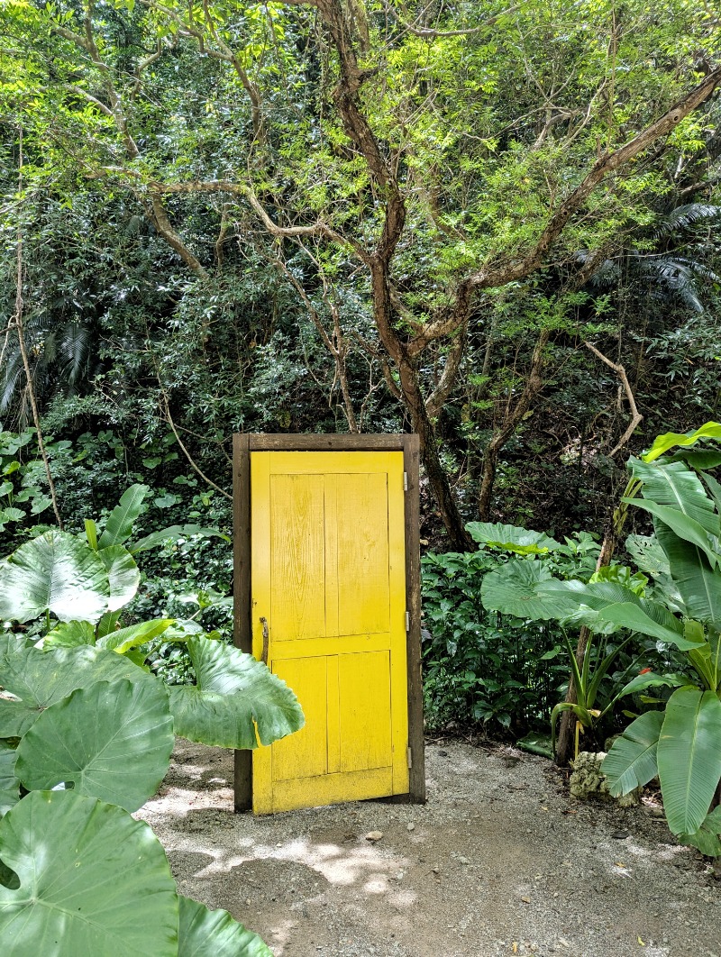 ロウリュ直後の汗は湯気じゃないのか問題さんの亜熱帯サウナのサ活写真