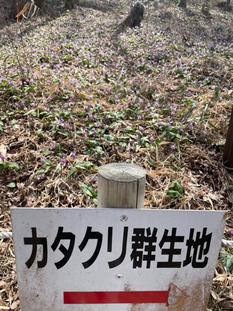 あおこさんの湯の華アイランドのサ活写真