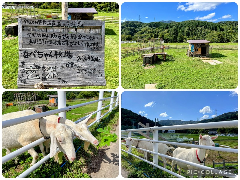 TZさんの福光温泉のサ活写真