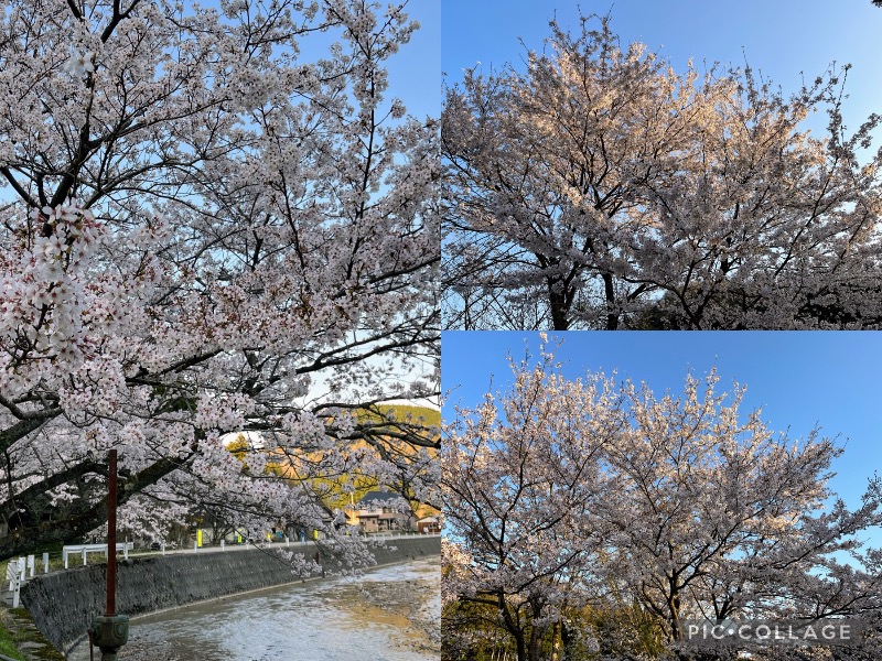 TZさんの白峰温泉 総湯のサ活写真