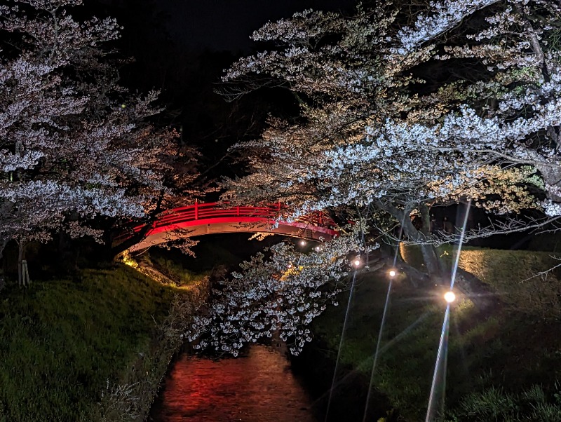 ペコさんのSauna & Spa Green サウナ&スパ グリーン～愛宕山温泉～のサ活写真