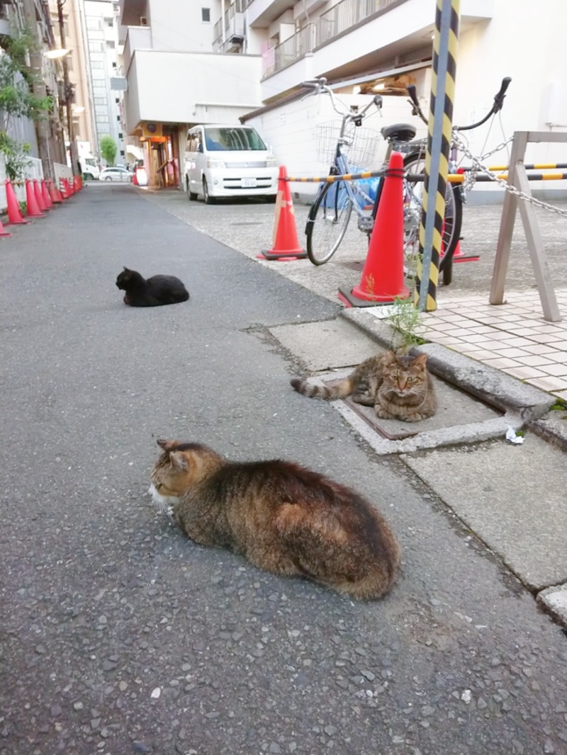 ふさこさんのルビーパレスのサ活写真